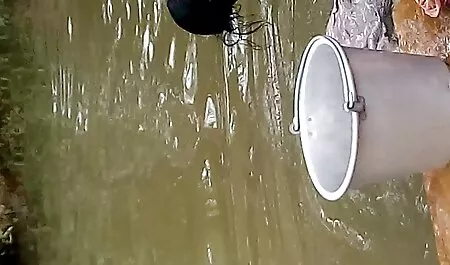 Nyilvánosan ingyen szeksz videok morog az erdőben