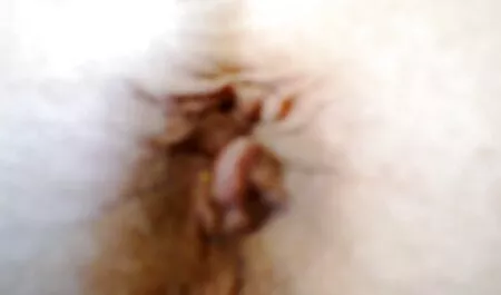 Lovagol egy nagy perverz szex videók fasz